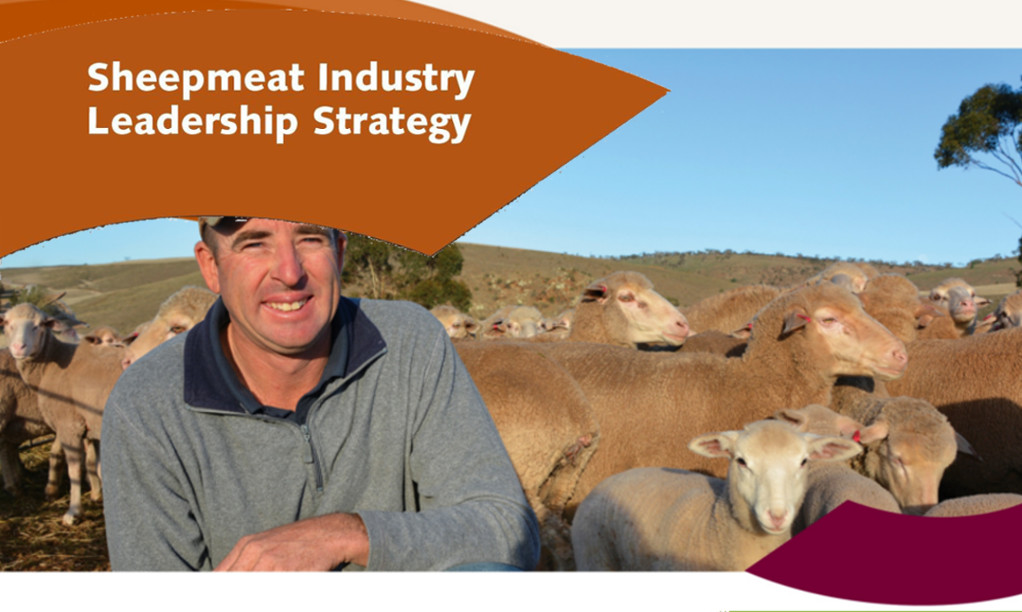 Sheepmeat Industry Leadership Strategy