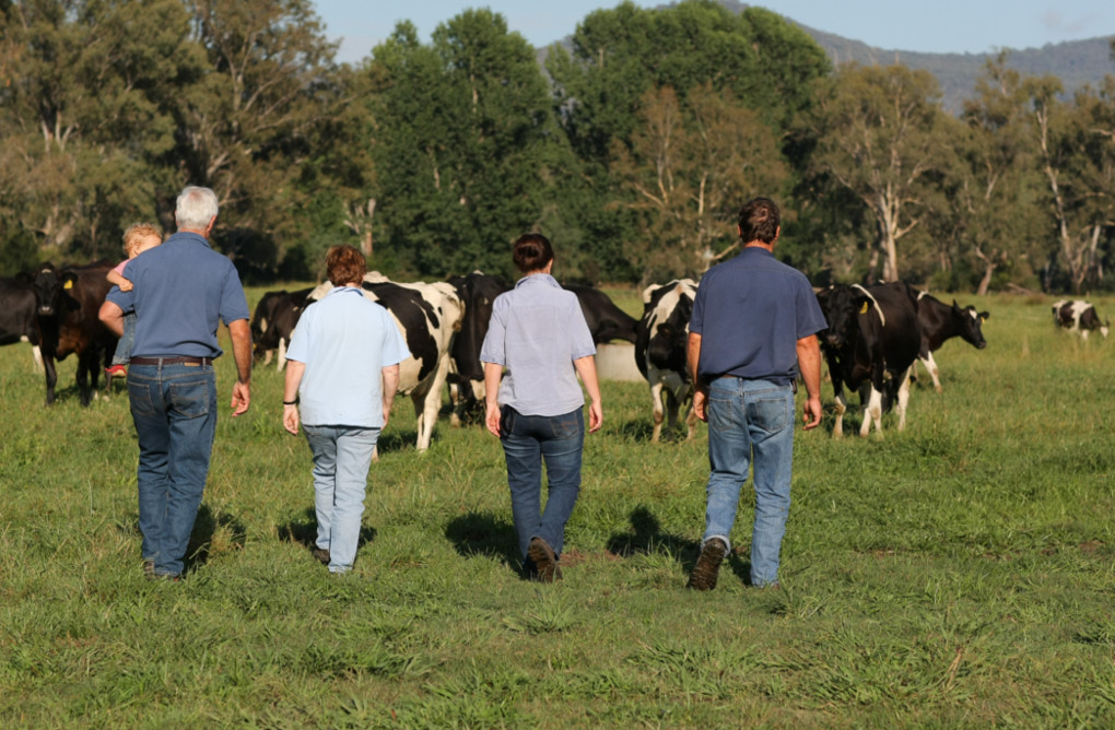 The People in Dairy 2006-2012
